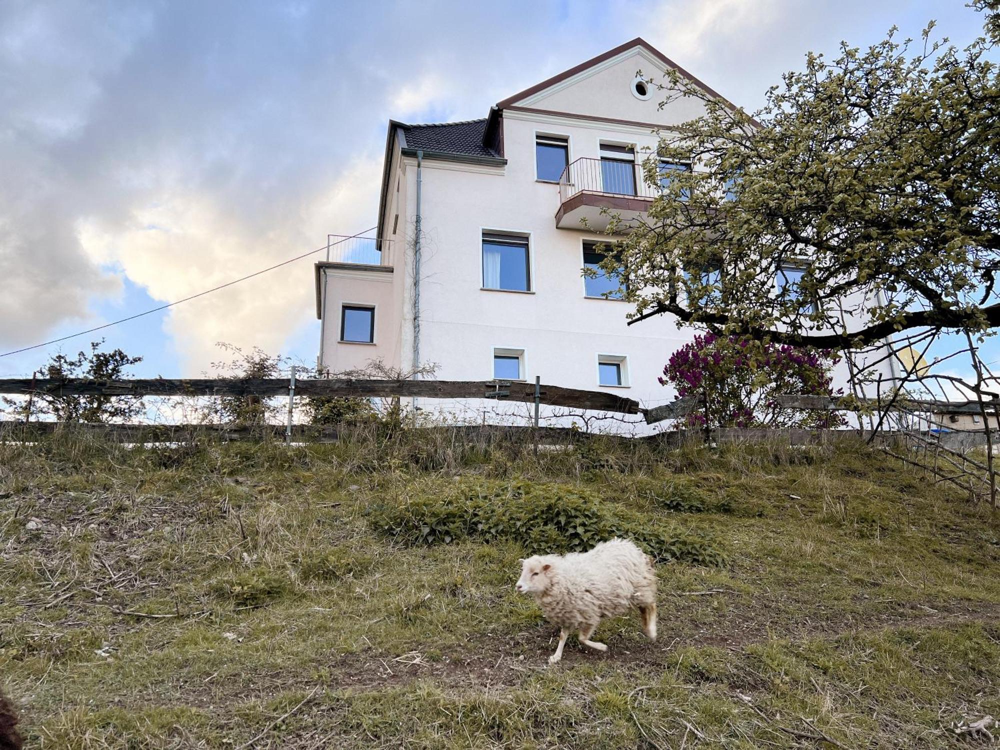 Villa Ueberblick Nalbach Zewnętrze zdjęcie