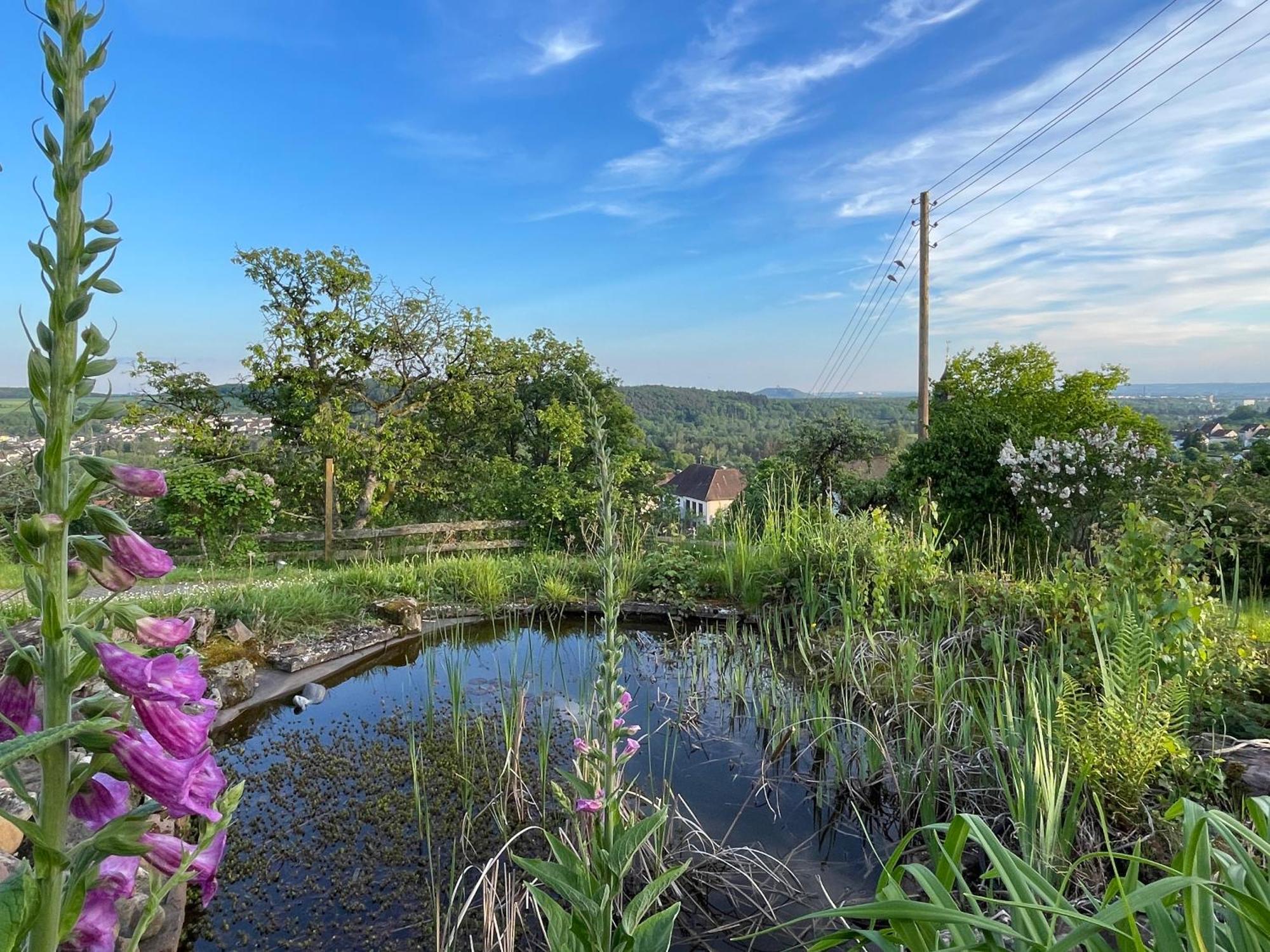 Villa Ueberblick Nalbach Zewnętrze zdjęcie